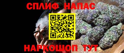 МДПВ Татарск