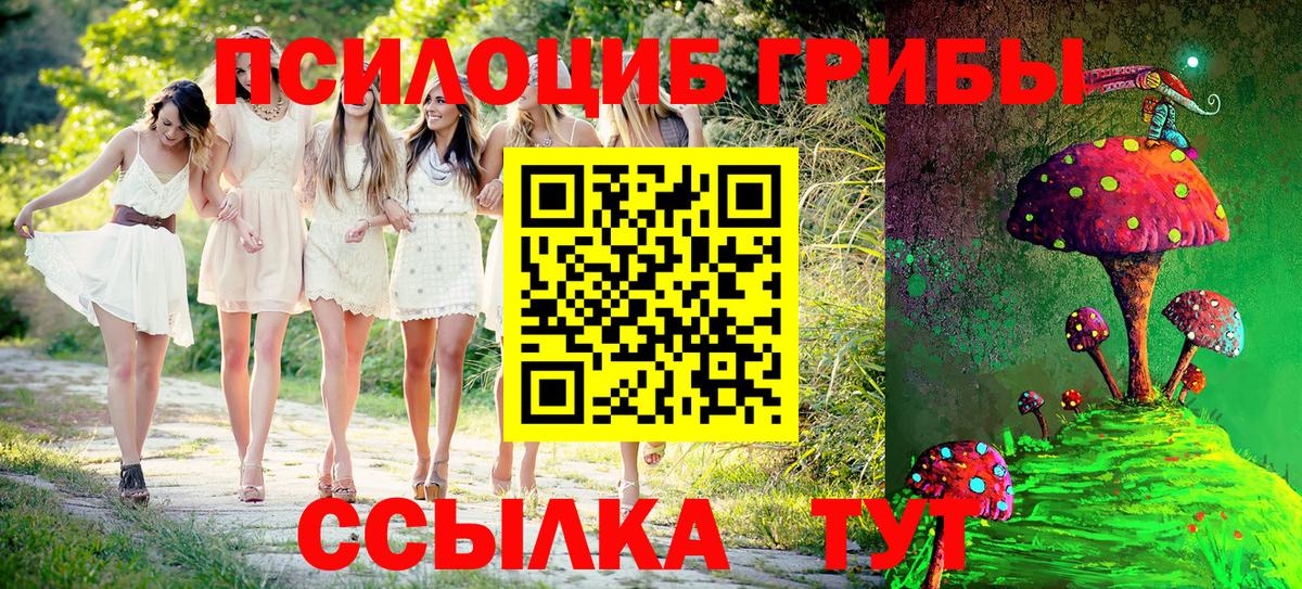 Псилоцибиновые грибы прущие грибы  Галлюциногенные грибы Cubensis  Великий Новгород  Вход с VPN 