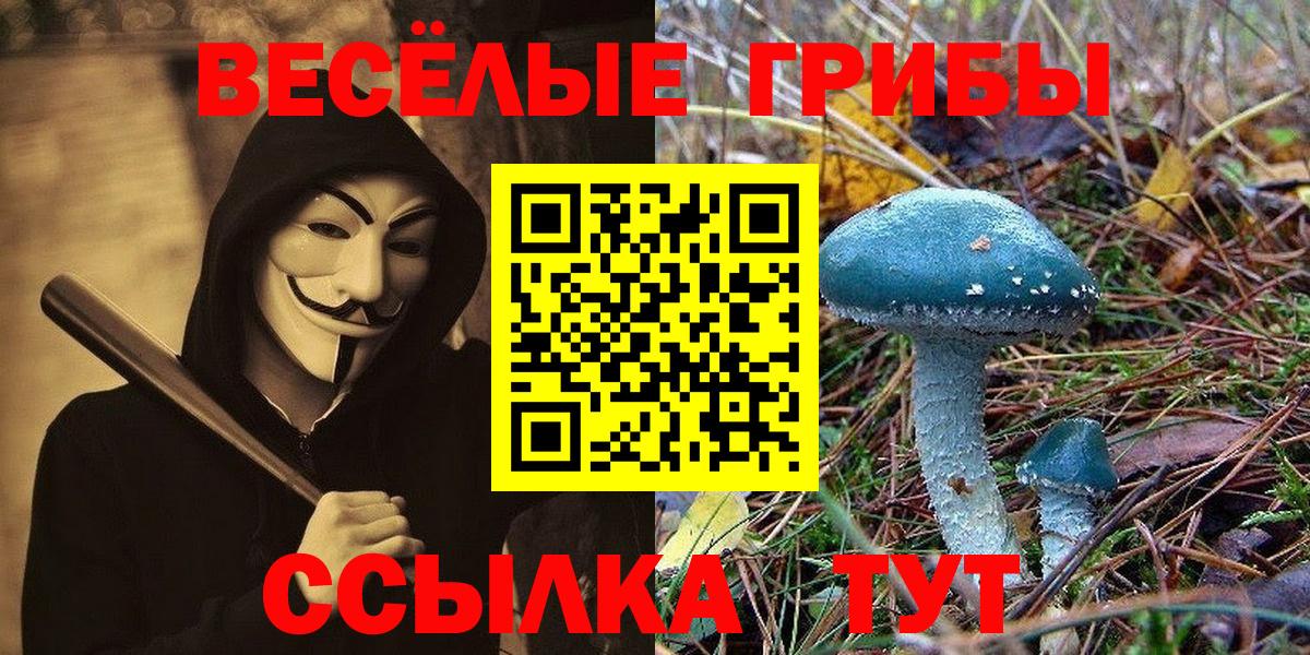 Галлюциногенные грибы мицелий Великий Новгород